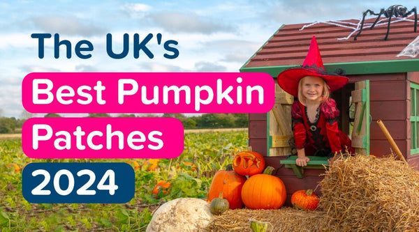 The UK's Best Pumpkin Patches 2024 - OutdoorToys