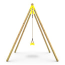 Rebo Wooden Single Garden Swing Set - Solar Yellow